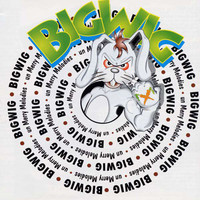 pochette album Dylan's song