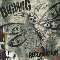 pochette album Reclamation