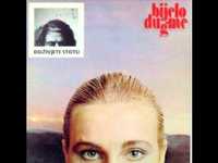 pochette album Cudesno jutro u krevetu gdje. petrovic