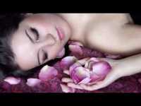 pochette album Dream lover