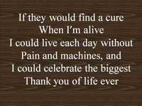 pochette album I could..if they would