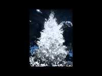 pochette album I sing noel