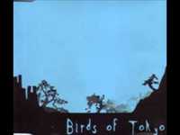 pochette album Sorry