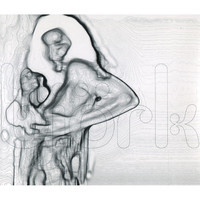 pochette album Domestica