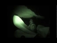 pochette album Our hands