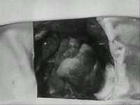 pochette album I.c. one female