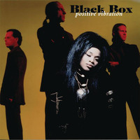 pochette album Rockin' to the music