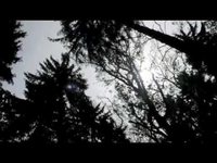 pochette album So good