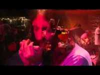 pochette album Aimless peacock