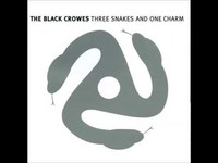 pochette album Bring on, bring on