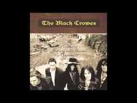 pochette album Hotel illness