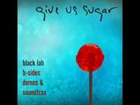 pochette album Horses