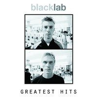 pochette album See the sun