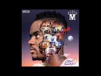 pochette album Wati by black