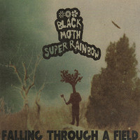 pochette album Falling through a field