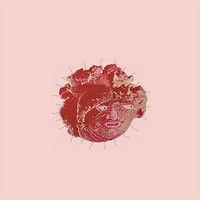 pochette album Lost, picking flowers in the woods