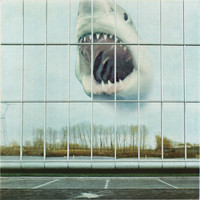 pochette album The space of your mind