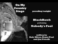 pochette album Nobody's fool