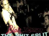 pochette album Cockroach cafe