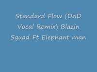 pochette album Standard flow