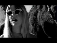 pochette album Searching through the past