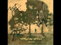 pochette album Should have know