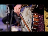 pochette album Like lions