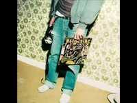 pochette album From stone to backbone