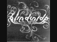 pochette album Sidewinder