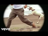 pochette album All the small things