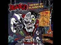 pochette album As the rope bridge sways