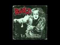 pochette album Reanimated