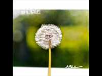 pochette album Aan iedereen die wacht