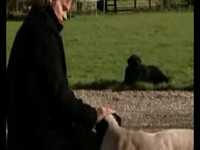 pochette album Oktober