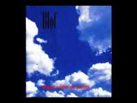 pochette album Verkeerd gedeeld