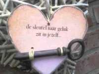 pochette album Wat een leven!