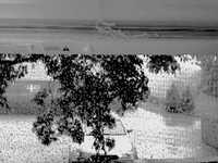 pochette album Young neil