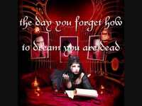 pochette album Wild heart