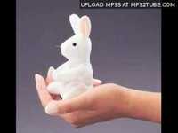 pochette album White rabbit