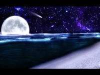 pochette album I love the night