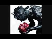 pochette album Scrape (acoustic)