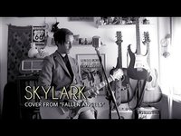 pochette album Skylark