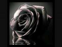 pochette album I don't like monday