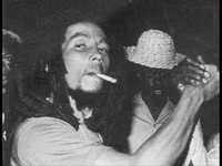 pochette album All in one