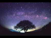 pochette album Black night