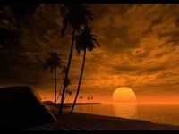 pochette album I wonder