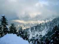 pochette album Satisfied