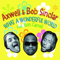 pochette album What a wonderful world