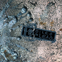 pochette album Blackened page