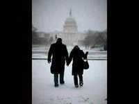 pochette album Bitter wine